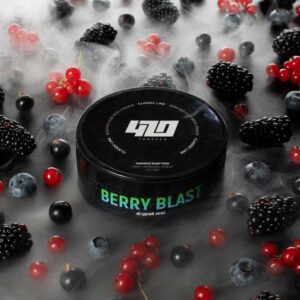 420 CLASSIC LINE — BERRY BLAST(Клюква, Черника, Брусника) 100г