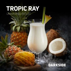 DarkSide Tropic Ray 100г