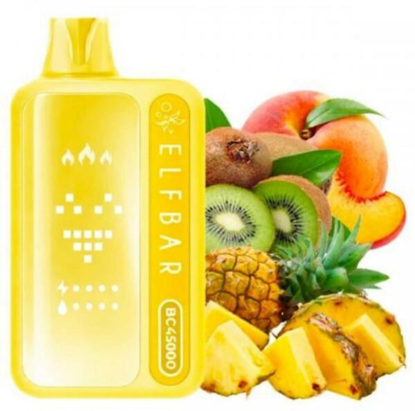 photo_2026-03-29 00.45.53