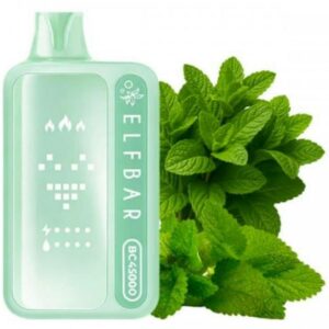 Elf Bar BC45000 – Double mint (5%)