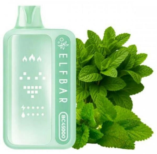 photo_2026-03-29 00.50.52