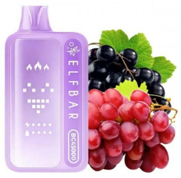 photo_2026-03-29 00.54.56